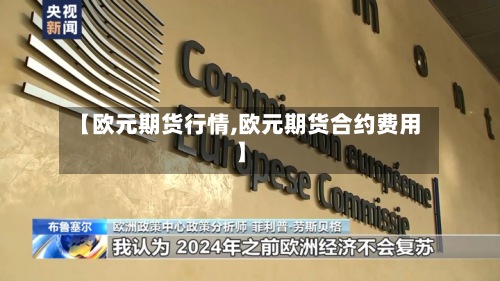【欧元期货行情,欧元期货合约费用】