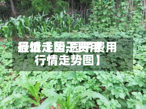 最近【园子费用
行情走势,园子费用
行情走势图】