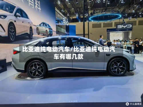 比亚迪纯电动汽车/比亚迪纯电动汽车有哪几款-第2张图片