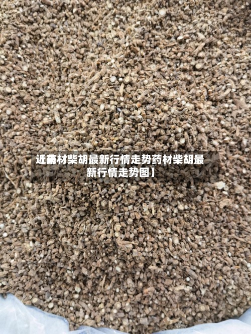 近来【药材柴胡最新行情走势药材柴胡最新行情走势图】