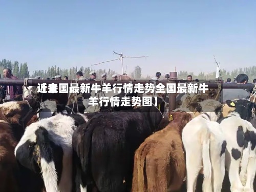 近来【全国最新牛羊行情走势全国最新牛羊行情走势图】-第3张图片