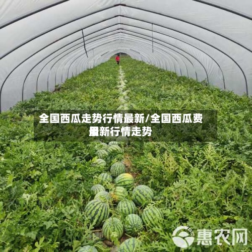全国西瓜走势行情最新/全国西瓜费用最新行情走势