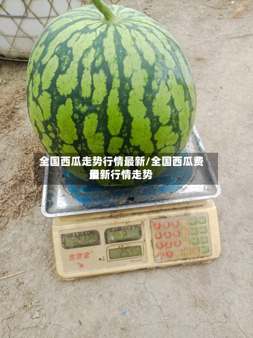 全国西瓜走势行情最新/全国西瓜费用
最新行情走势-第2张图片