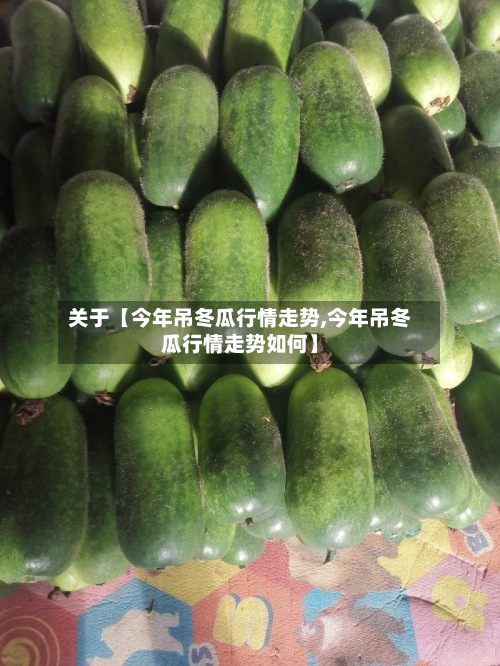 关于【今年吊冬瓜行情走势,今年吊冬瓜行情走势如何】