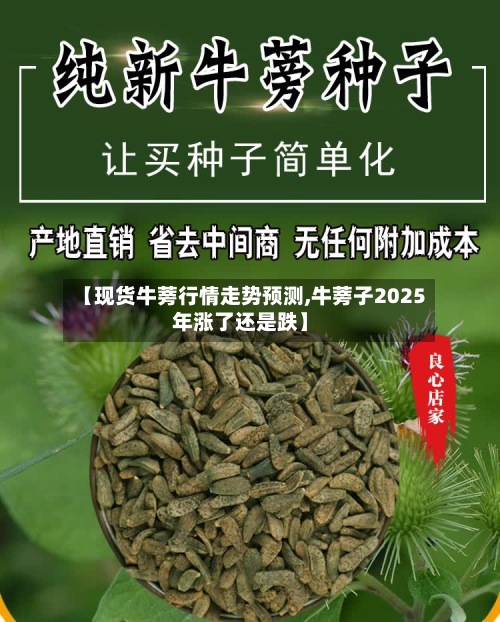 【现货牛蒡行情走势预测,牛蒡子2025年涨了还是跌】-第2张图片
