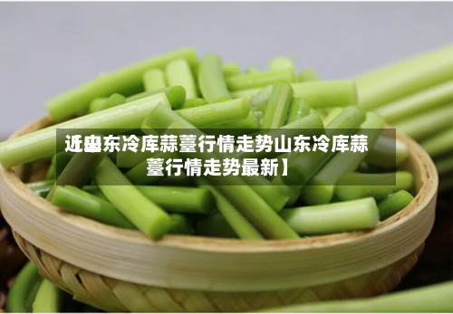 近来【山东冷库蒜薹行情走势山东冷库蒜薹行情走势最新】