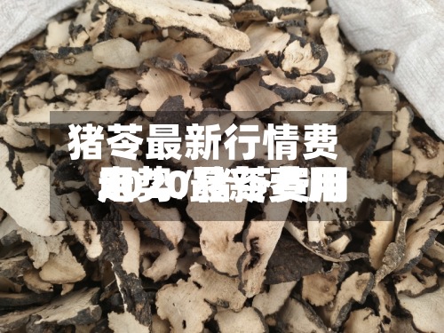 猪苓最新行情费用
走势/猪苓费用
2020最新费用