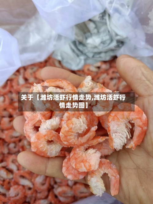 关于【潍坊活虾行情走势,潍坊活虾行情走势图】
