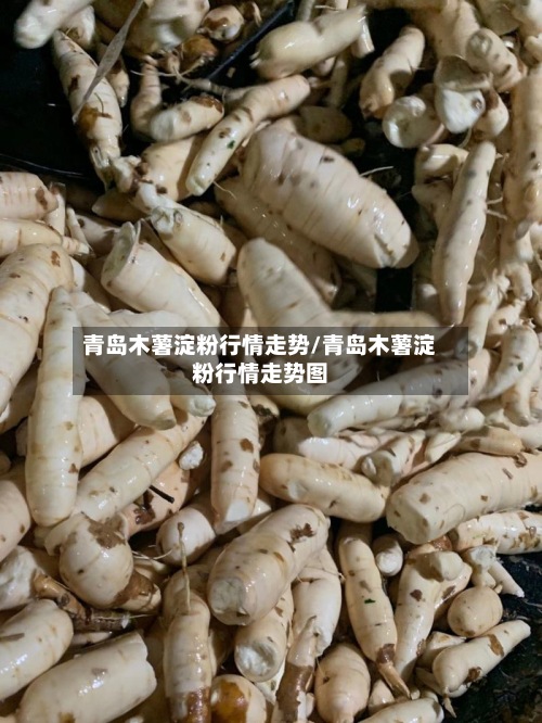 青岛木薯淀粉行情走势/青岛木薯淀粉行情走势图-第2张图片
