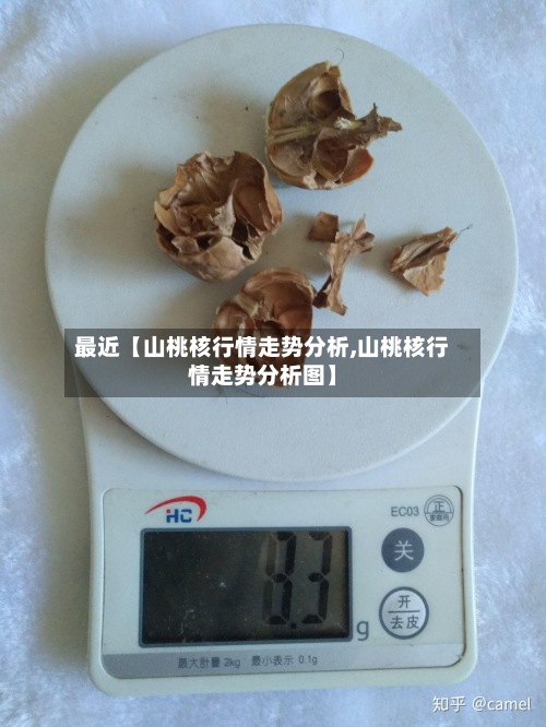 最近【山桃核行情走势分析,山桃核行情走势分析图】