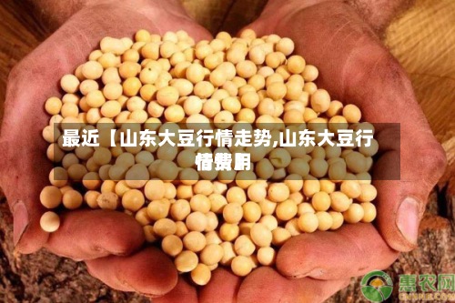 最近【山东大豆行情走势,山东大豆行情费用
行情】-第3张图片