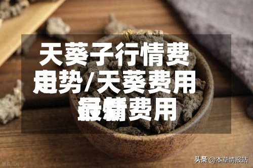 天葵子行情费用
走势/天葵费用
最新费用
行情