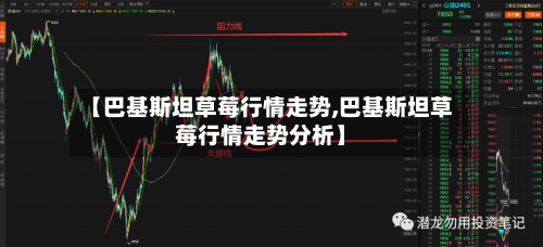 【巴基斯坦草莓行情走势,巴基斯坦草莓行情走势分析】-第3张图片