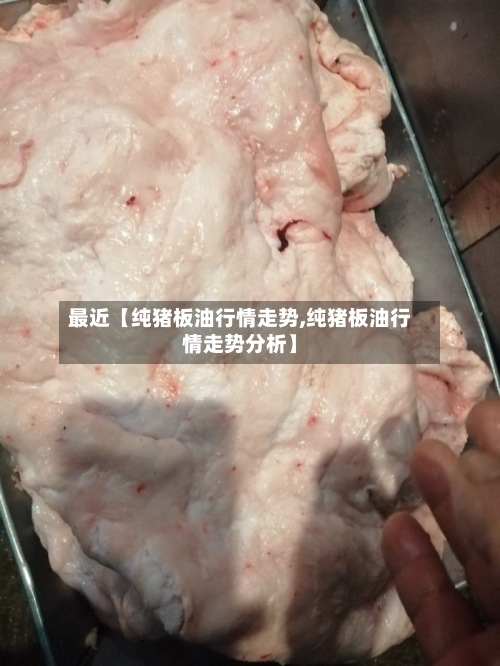 最近【纯猪板油行情走势,纯猪板油行情走势分析】