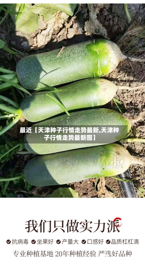 最近【天津种子行情走势最新,天津种子行情走势最新图】