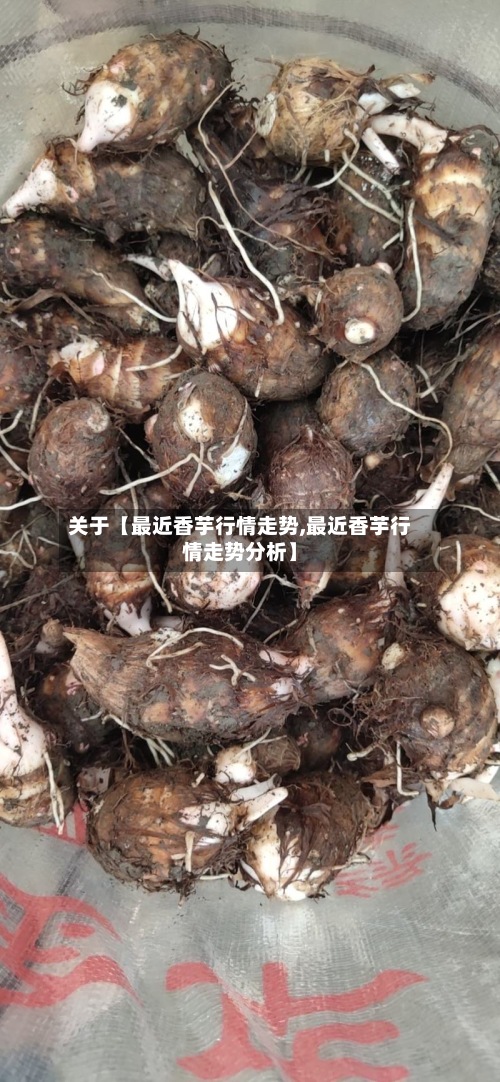 关于【最近香芋行情走势,最近香芋行情走势分析】
