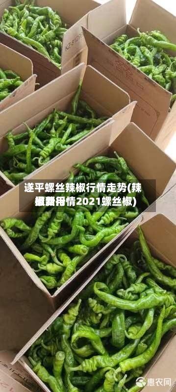遂平螺丝辣椒行情走势(辣椒费用最新行情2021螺丝椒)-第2张图片