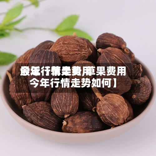 最近【草果费用
今年行情走势,草果费用
今年行情走势如何】