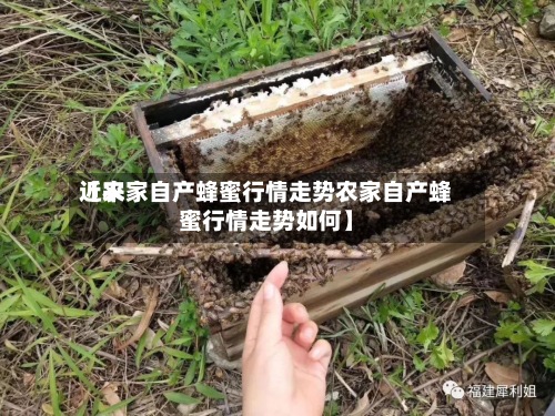 近来【农家自产蜂蜜行情走势农家自产蜂蜜行情走势如何】-第2张图片