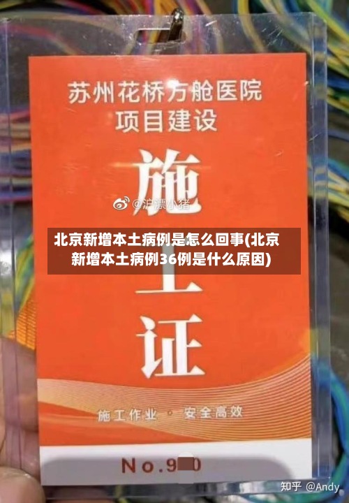 北京新增本土病例是怎么回事(北京新增本土病例36例是什么原因)