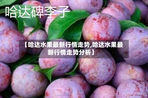 【哈达水果最新行情走势,哈达水果最新行情走势分析】