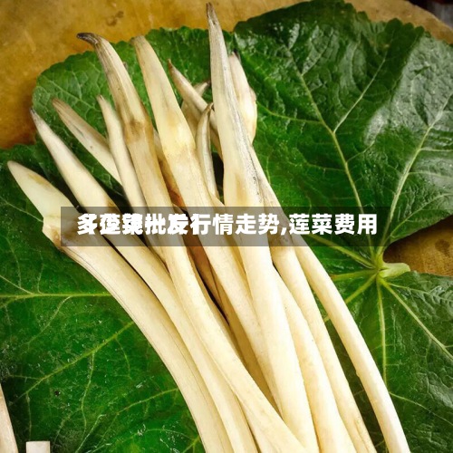 【莲菜批发行情走势,莲菜费用多少钱一斤】