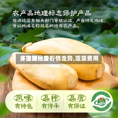 【莲菜批发行情走势,莲菜费用
多少钱一斤】-第3张图片