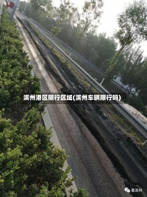 滨州港区限行区域(滨州车辆限行吗)