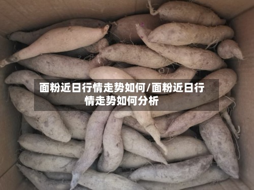 面粉近日行情走势如何/面粉近日行情走势如何分析-第2张图片