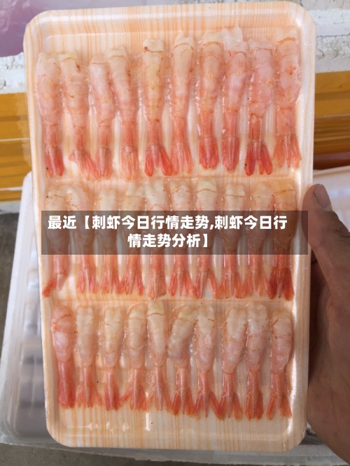 最近【刺虾今日行情走势,刺虾今日行情走势分析】-第3张图片