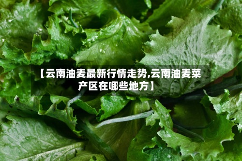 【云南油麦最新行情走势,云南油麦菜产区在哪些地方】