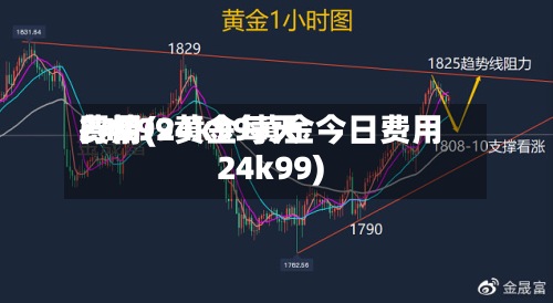 24k99黄金每天费用行情(24k99黄金今日费用24k99)