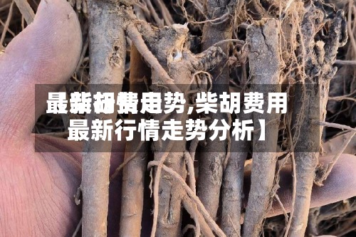 【柴胡费用
最新行情走势,柴胡费用
最新行情走势分析】