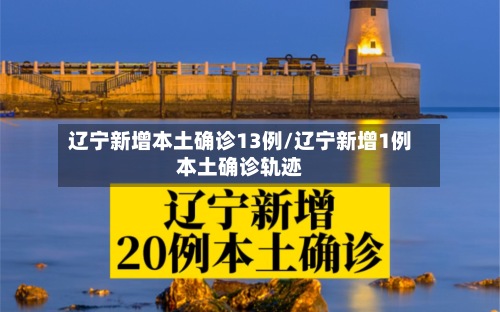辽宁新增本土确诊13例/辽宁新增1例本土确诊轨迹-第3张图片
