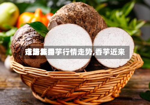 【历年香芋行情走势,香芋近来
市场费用
走势】