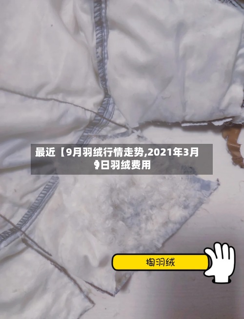 最近【9月羽绒行情走势,2021年3月9日羽绒费用
】-第2张图片