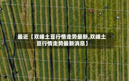 最近【双峰土豆行情走势最新,双峰土豆行情走势最新消息】