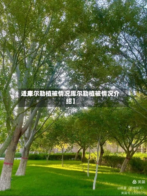 近来【库尔勒植被情况库尔勒植被情况介绍】-第3张图片