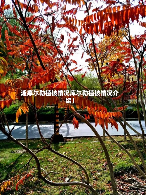 近来【库尔勒植被情况库尔勒植被情况介绍】-第2张图片