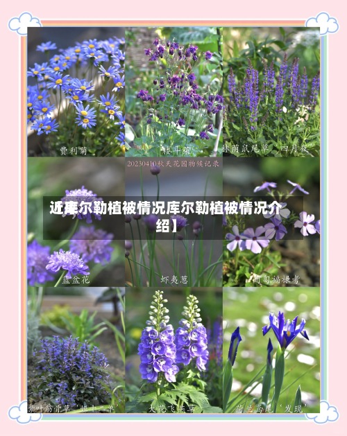 近来【库尔勒植被情况库尔勒植被情况介绍】