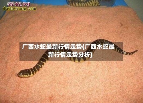 广西水蛇最新行情走势(广西水蛇最新行情走势分析)
