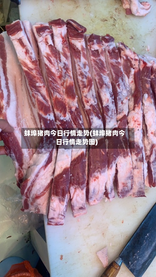 蚌埠猪肉今日行情走势(蚌埠猪肉今日行情走势图)