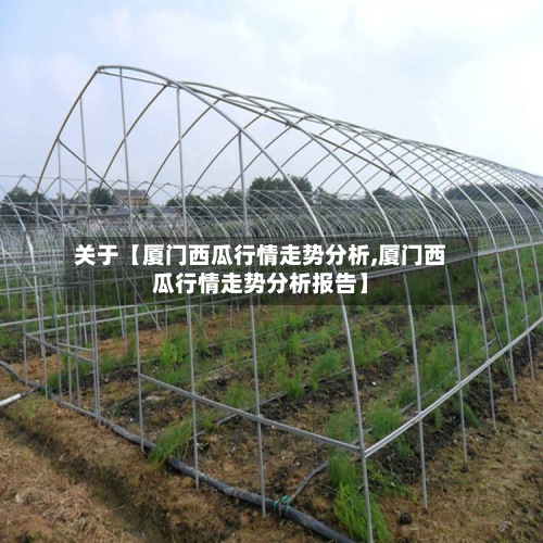 关于【厦门西瓜行情走势分析,厦门西瓜行情走势分析报告】