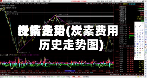 炭素费用行情走势(炭素费用历史走势图)-第2张图片