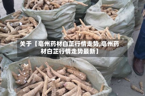 关于【亳州药材白芷行情走势,亳州药材白芷行情走势最新】-第2张图片