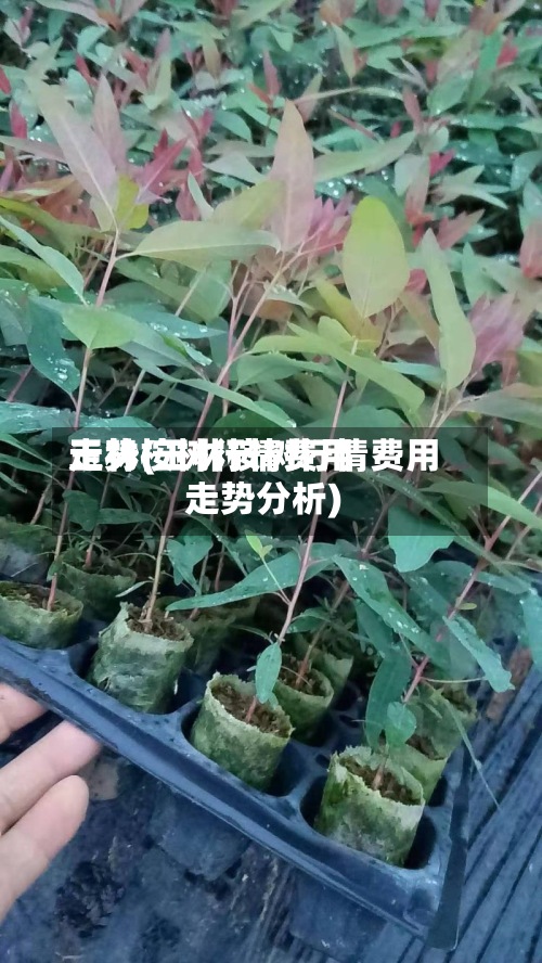 玉林桉树行情费用走势(玉林桉树行情费用走势分析)