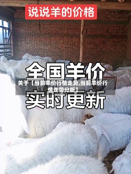 关于【当前羊价行情走势,当前羊价行情走势分析】-第3张图片