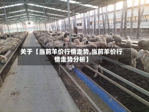 关于【当前羊价行情走势,当前羊价行情走势分析】