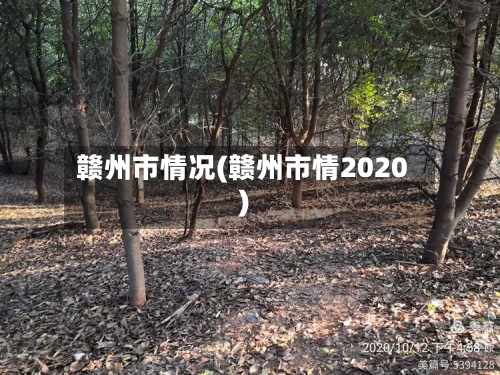 赣州市情况(赣州市情2020)-第2张图片