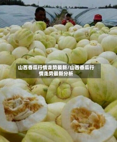 山西香瓜行情走势最新/山西香瓜行情走势最新分析-第2张图片